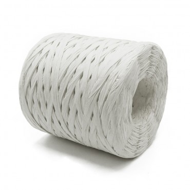Rafia Naturale Bianco Grammi 200 | Tessiland