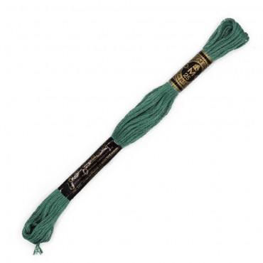 Moulinè special DMC 6 Capi Cotone per ricamo Verde salvia 163