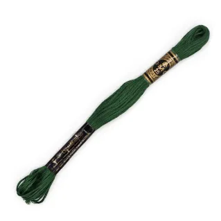 Mouliné Spécial DMC 6 Brins Coton pour broderie Verde foresta 895