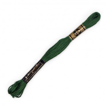 Moulinè special DMC 6 Capi Cotone per ricamo Verde foresta 895