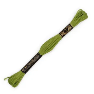 Moulinè special DMC 6 Cabos Algodón para bordado Verde lime 166