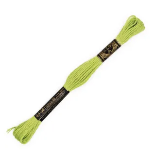 Moulinè special DMC 6 Cabos Algodón para bordado Verde lime 11