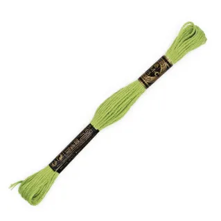 DMC Mouliné Special 6 Strand Cotton for Embroidery Verde lime 3819