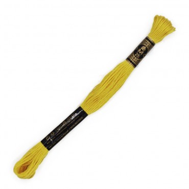 Moulinè special DMC 6 Capi Cotone per ricamo Giallo 307