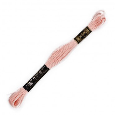 Moulinè special DMC 6 Capi Cotone per ricamo Rosa 818