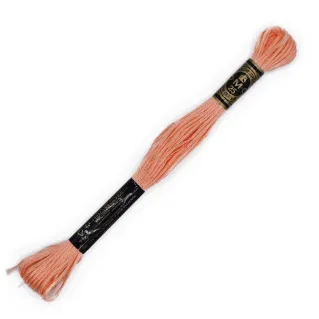 Mouliné Spécial DMC 6 Brins Coton pour broderie Cipria 20