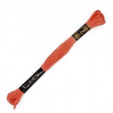 Moulinè special DMC 6 Capi Cotone per ricamo Salmone 3341