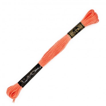 Moulinè special DMC 6 Capi Cotone per ricamo Salmone 3824