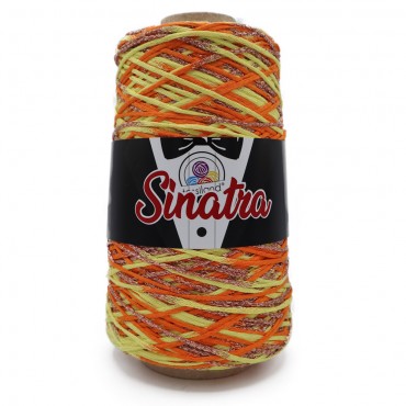 Sinatra fettuccia misto viscosa lurex sfumato rocca 200g Summer