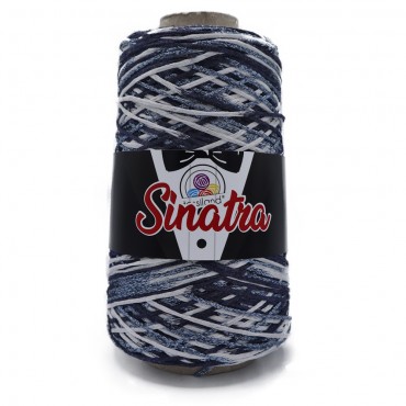 Sinatra fettuccia misto viscosa lurex sfumato rocca 200g Optical