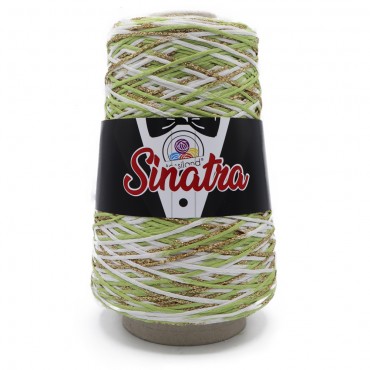 Sinatra fettuccia misto viscosa lurex sfumato rocca 200g Green