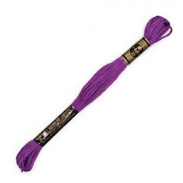 Moulinè special DMC 6 Capi Cotone per ricamo Mirtillo 3837