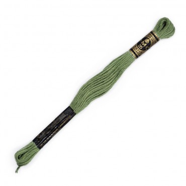 Moulinè special DMC 6 Capi Cotone per ricamo Salvia 3053