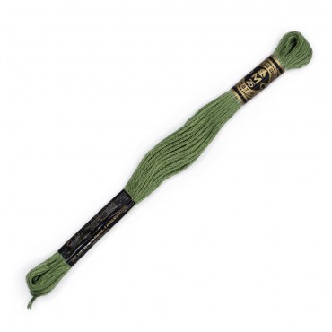 Moulinè special DMC 6 Capi Cotone per ricamo Salvia 3052