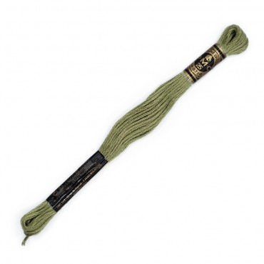 Moulinè special DMC 6 Capi Cotone per ricamo Salvia 372