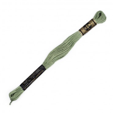 Moulinè special DMC 6 Capi Cotone per ricamo Salvia 523