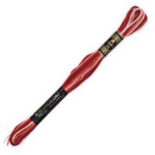 Mouliné Spécial DMC 6 Brins Coton pour broderie Sf cipria 69