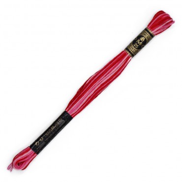 Moulinè special DMC 6 Capi Cotone per ricamo Sf pink 107