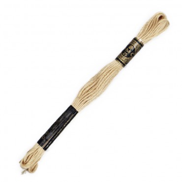 Moulinè special DMC 6 Capi Cotone per ricamo Beige 739