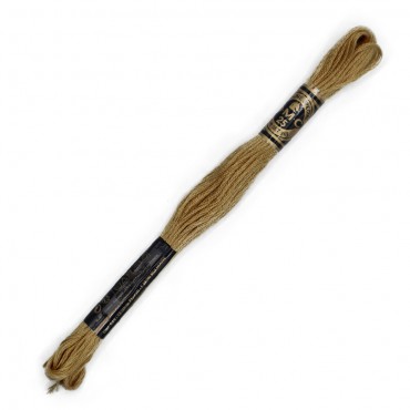 Moulinè special DMC 6 Capi Cotone per ricamo Beige 3828