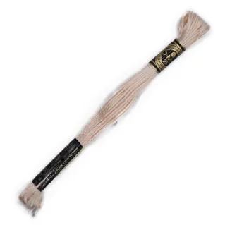 Moulinè special DMC 6 Cabos Algodón para bordado Pelle 945
