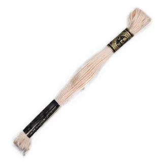 DMC Mouliné Special 6 Strand Cotton for Embroidery Pelle 3770