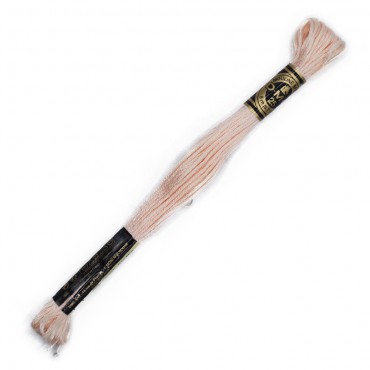 Moulinè special DMC 6 Capi Cotone per ricamo Pelle 948