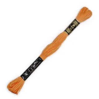 Mouliné Spécial DMC 6 Brins Coton pour broderie Sabbia 3854
