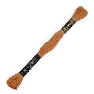 DMC Mouliné Special 6 Strand Cotton for Embroidery Sabbia 977