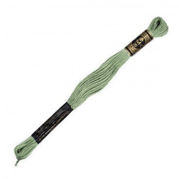 Moulinè special DMC 6 Capi Cotone per ricamo Salvia 524