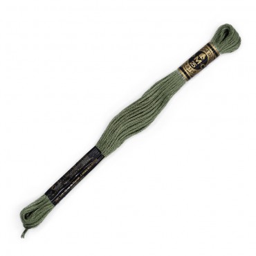 Moulinè special DMC 6 Capi Cotone per ricamo Salvia 3022