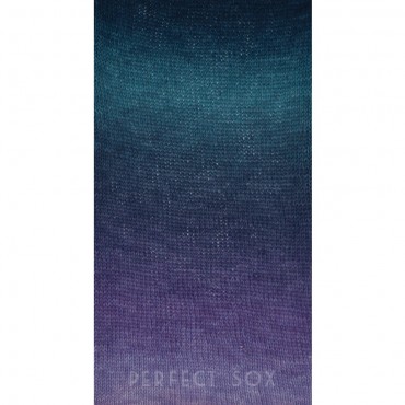 Ovillo para Calcetines PerfectSox Casual 100 g | Tessiland