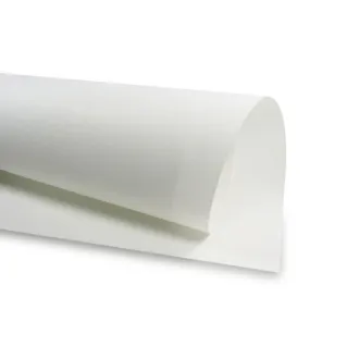 Termoendurecedor de media rigidez biesado para bolsas y accesorios Blanco