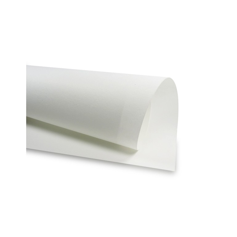 Thermodurcissable rigidité moyenne blanc pour rigidifier les sacs au crochet | Tessiland