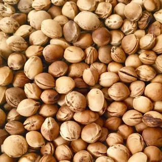 Huesos de Cereza 1kg para Cojines Térmicos | Tessiland
