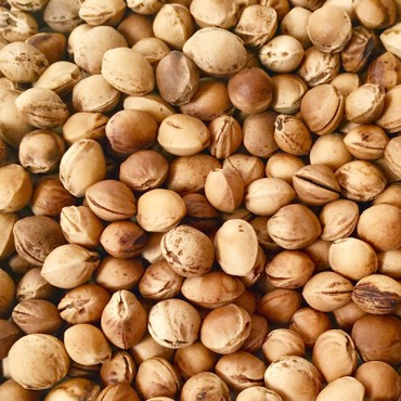 Noccioli di Ciliegia per imbottiture Kg. 1