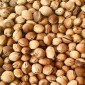 Noyaux de Cerise 1kg pour Bouillotte et Coussins | Tessiland