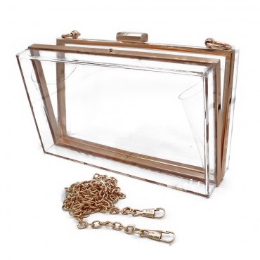 Clutch-Transparent 18x11 cm