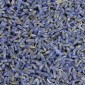 Flores de lavanda italiana 250 g | Tessiland