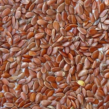 Flax seeds - stuffing - 1Kg