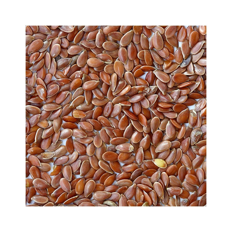 Semi di Lino per imbottitura  Kg. 1