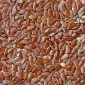 Flax seeds - stuffing - 1Kg