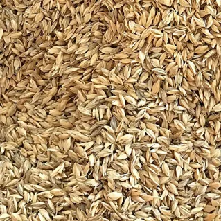 Coque d’épeautre italienne pour coussins 500 g | Tessiland