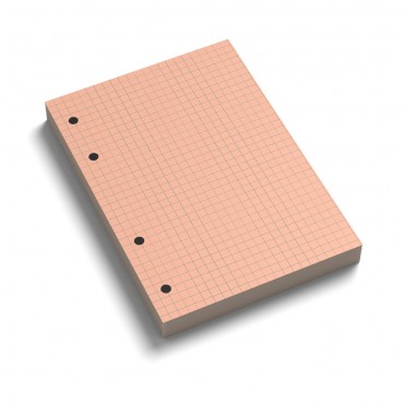 Ricambi forati A5 quadretti Rosa