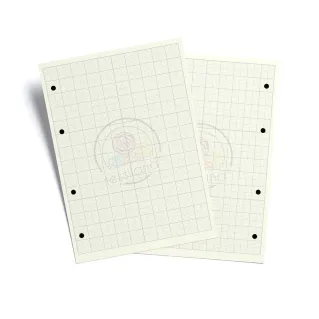 Recambios A5 milimétricos para planner creativo | Tessiland