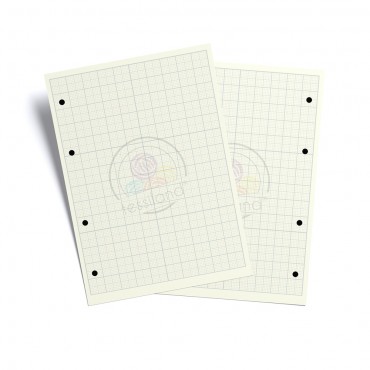 Ricambi forati A5 millimetrati