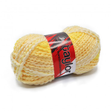 Filato fantasia 100% Top Acrilico Taylor Colore Beige grammi 100 | Tessiland