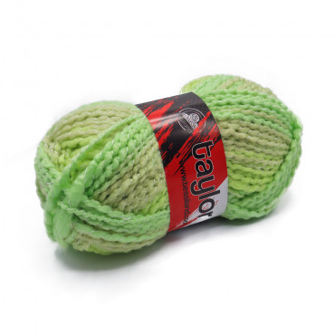 Taylor acrilico top quality sfumato gomitolo 100g Salvia