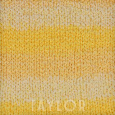 Filato fantasia 100% Top Acrilico Taylor Colore Beige grammi 100 | Tessiland