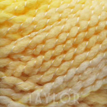 Filato fantasia 100% Top Acrilico Taylor Colore Beige grammi 100 | Tessiland